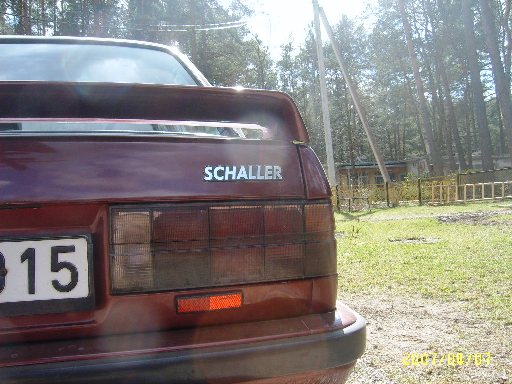 schaller 004.jpg