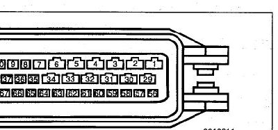 pin.JPG