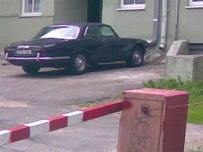 20100613 (Medium).jpg