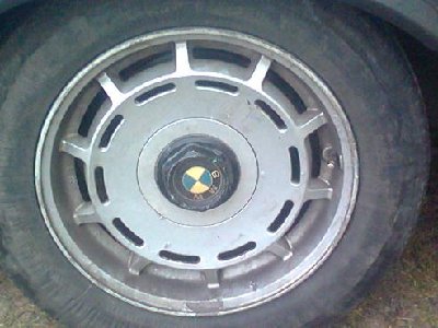 Ratai TRX.JPG
