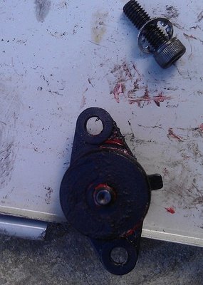 IMAG0190.jpg
