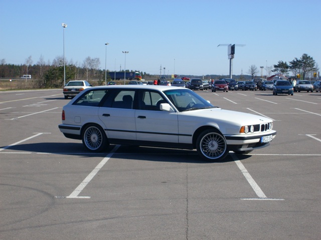 STP60684.JPGx.JPG