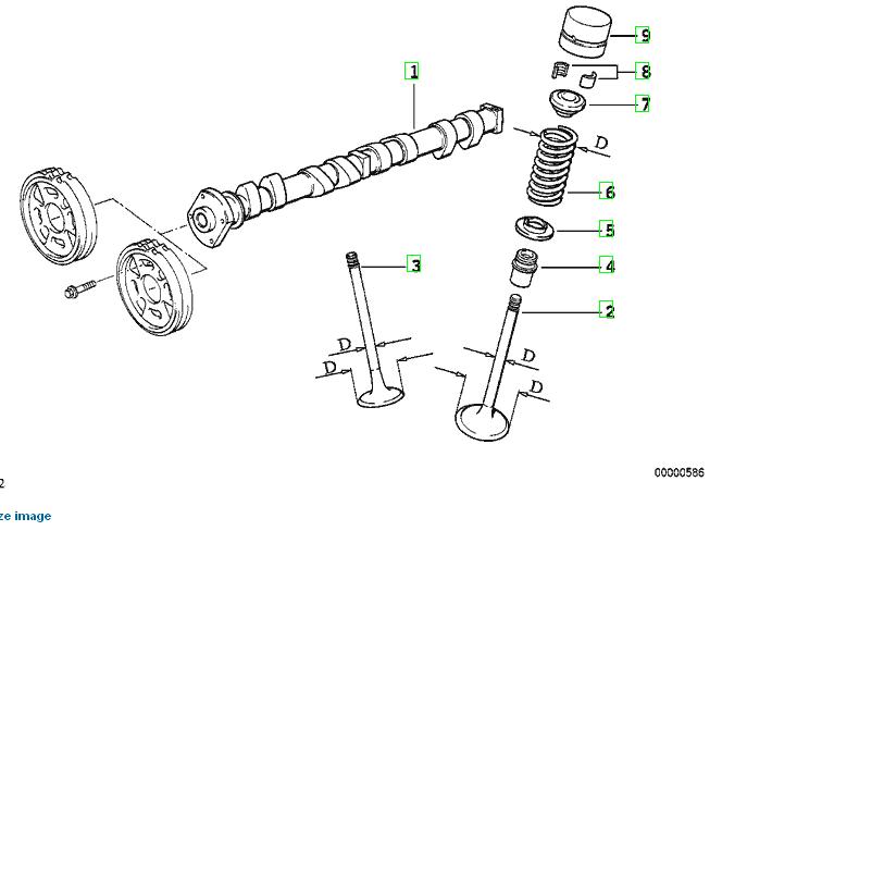 m42 valves.JPG